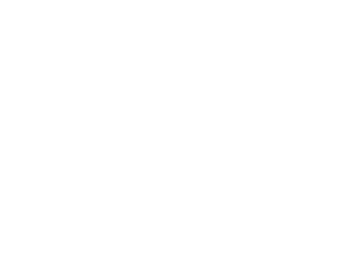 Official Game Guide