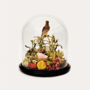 Home Decoration Thumbnail